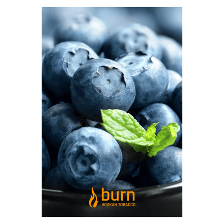 Табак Burn - Blueberry Mint (Черника с Мятой, 100 грамм) купить в Барнауле