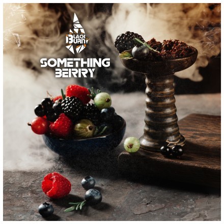 Табак BlackBurn - Something Berry (Что-то Ягодное, 100 грамм) купить в Барнауле