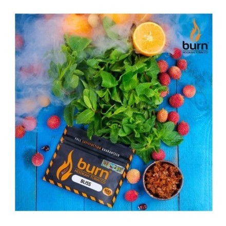 Табак Burn - Bliss (Личи с Мятой, 25 грамм) купить в Барнауле