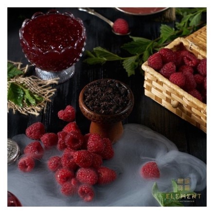 Табак Element Вода - Raspberry (Малина, 200 грамм) купить в Барнауле