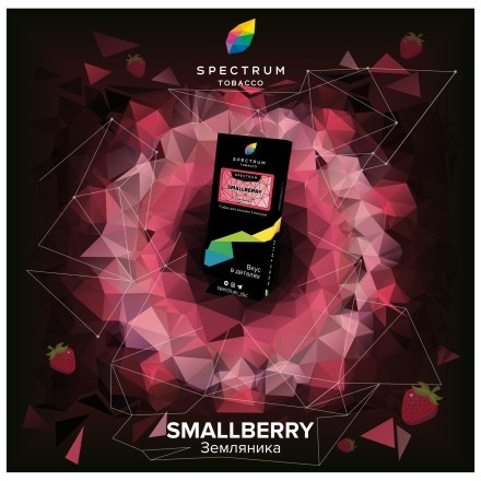 Табак Spectrum Hard - Smallberry (Земляника, 40 грамм) купить в Барнауле