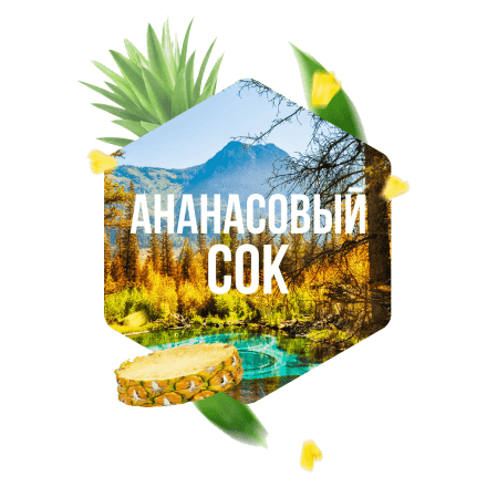 Табак Сарма - Ананасовый Сок (120 грамм) купить в Барнауле