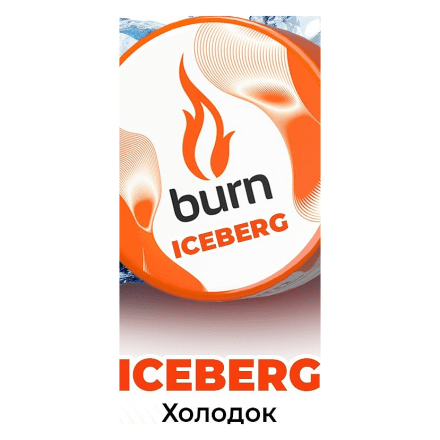 Табак Burn - Iceberg (Холодок, 25 грамм) купить в Барнауле